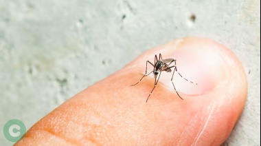 Dengue: En el mes de Abril hubo 8 casos confirmados